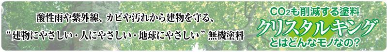 �N���X�^���L���O�Ƃ͂ǂ�ȃ��m�Ȃ́H